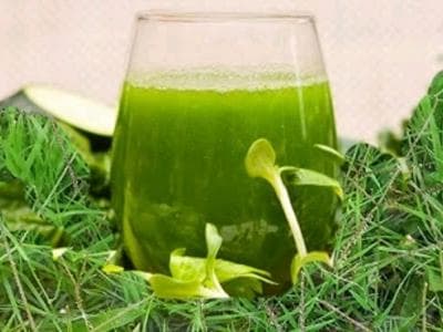 அருகம்புல்லின் பயன்கள்